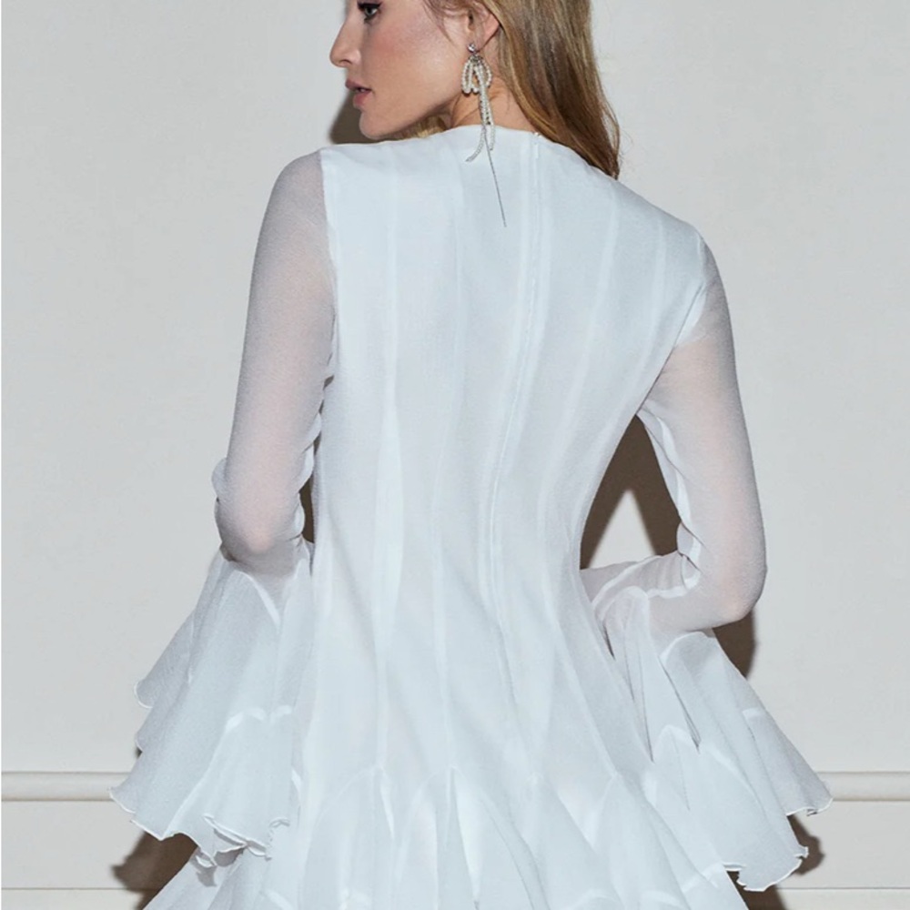 Commense Romance Ruffle Sheer Dress - Picture 5 of 12